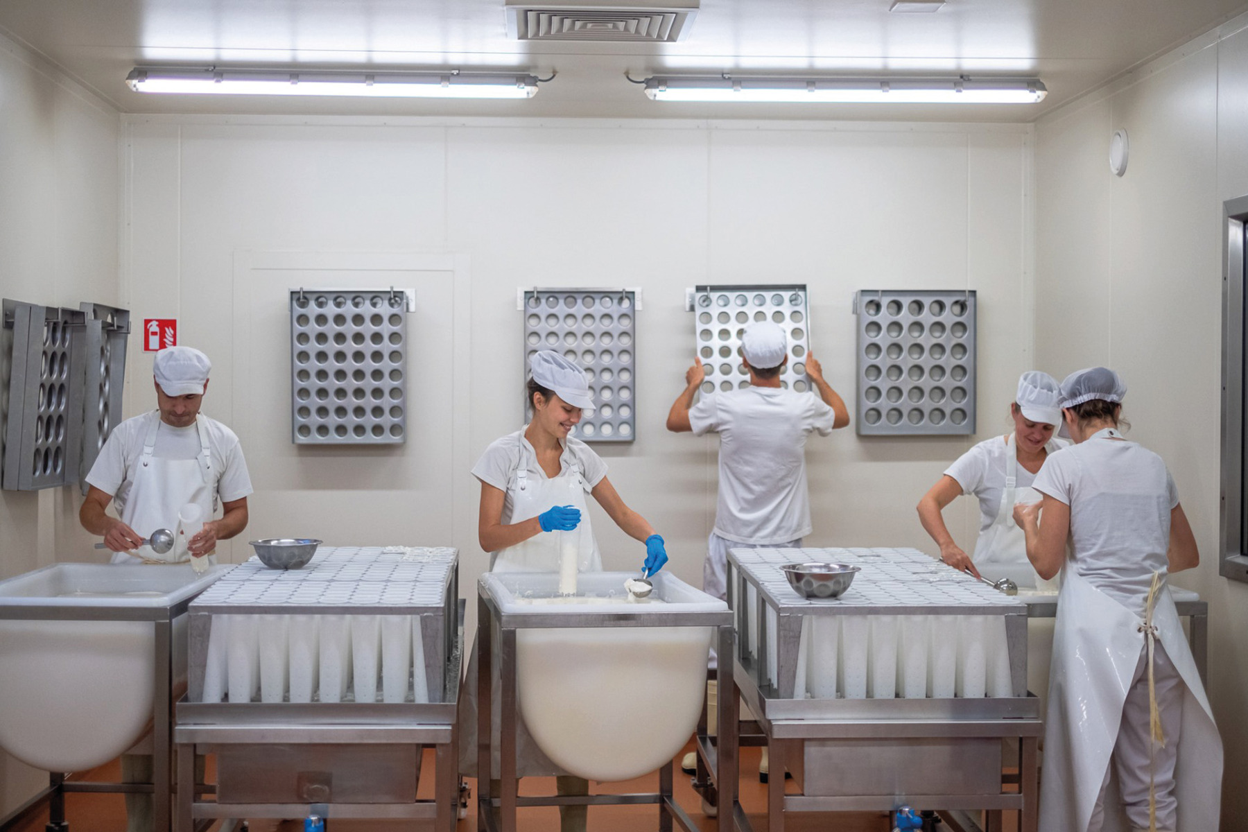 karditsel_referentie_-_kopie